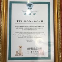 日本盲導犬協会感謝状